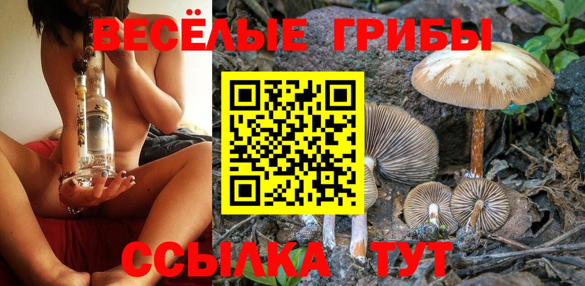 Галлюциногенные грибы Psilocybe  Вход с VPN  Чехов 